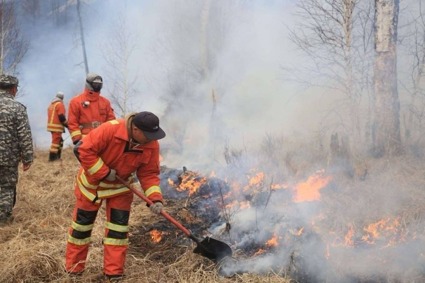 Сүүлийн 25 жилд 3961 удаагийн ой, хээрийн түймэр бүртгэгджээ