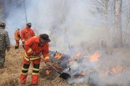 Сүүлийн 25 жилд 3961 удаагийн ой, хээрийн түймэр бүртгэгджээ