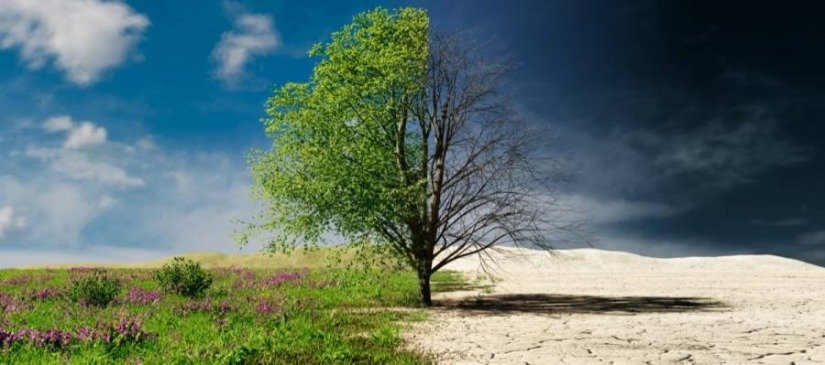 Уур амьсгалын өөрчлөлтийг сааруулахад бүсгүйчүүд үлэмж нөлөө үзүүлж чадна