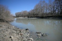 Ш.Баранчулуун: Туул гол руу цутгаж буй бохир ус цэвэрлэгдэж чадалгүй урссаар зарим үед Орхон Туулын бэлчирт хүрч байна