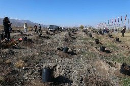 Үндэсний цэцэрлэгт хүрээлэнд 1000 мод тарилаа