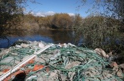 Туул голын эрэг дагуу үүссэн хогийн цэгийг цэвэрлэж, зардлыг хууль зөрчсөн ААН-үүдээс гаргуулна