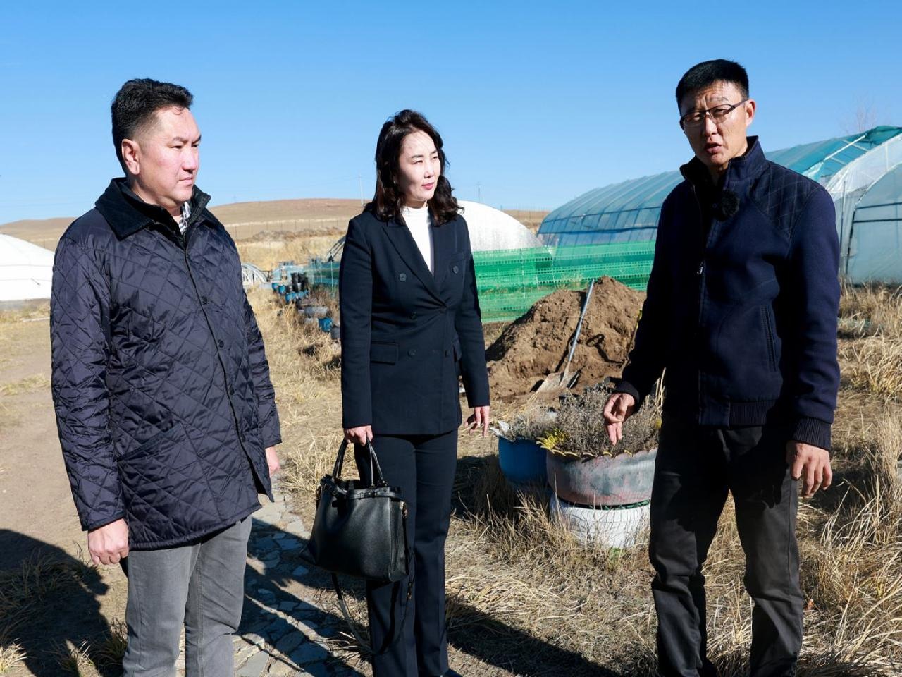 Т.БАТСҮХ: ӨРХ БҮР УХДАГ БУС УРГАДАГ БАЯЛГАА ШҮТЭЖ ӨРХИЙН ОРЛОГОО НЭМЭГДҮҮЛЭЭСЭЙ