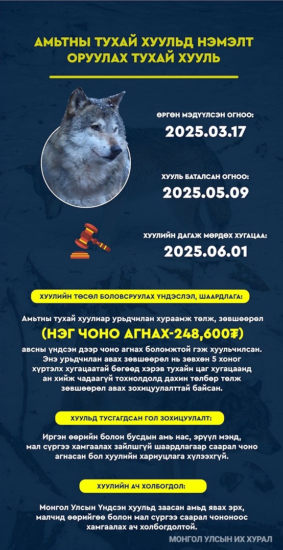 Амьтны тухай хуульд нэмэлт оруулах тухай хуулиар иргэн зайлшгүй шаардлагаар саарал чоно агнасан бол хуулийн хариуцлага хүлээхгүй