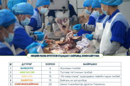 Нөөцийн махны өргөтгөсөн худалдаа энэ сарын 15-ныг хүртэл үргэлжилнэ