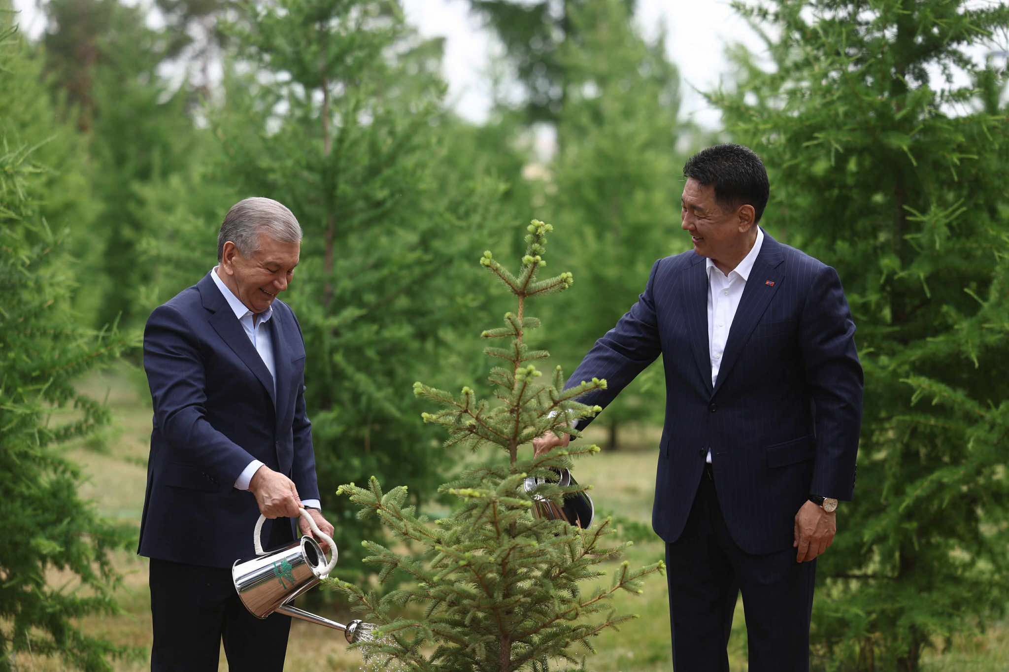 Ерөнхийлөгч У.Хүрэлсүх, Ш.Мирзиёев нар дурсгалын мод тарилаа
